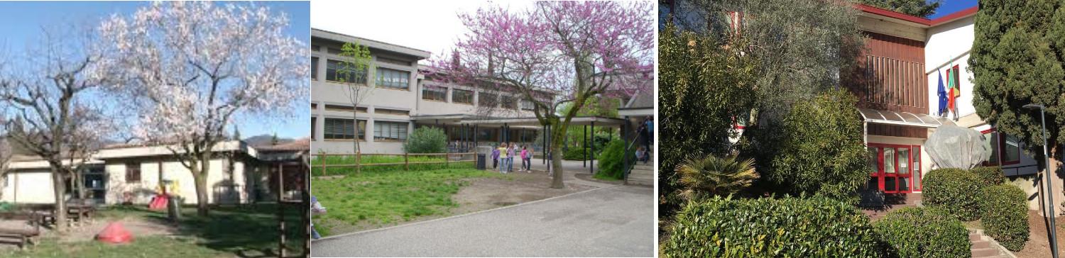 Scuole dell'infanzia e primarie