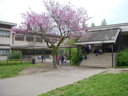 Scuola Primaria Olivelli